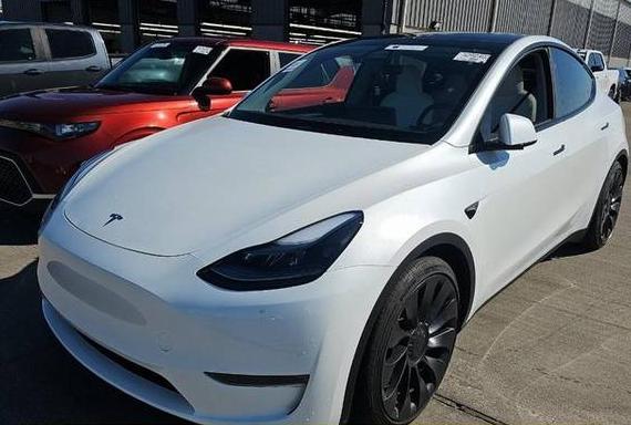 TESLA MODEL Y 2025 7SAYGDEF6SA339014 image